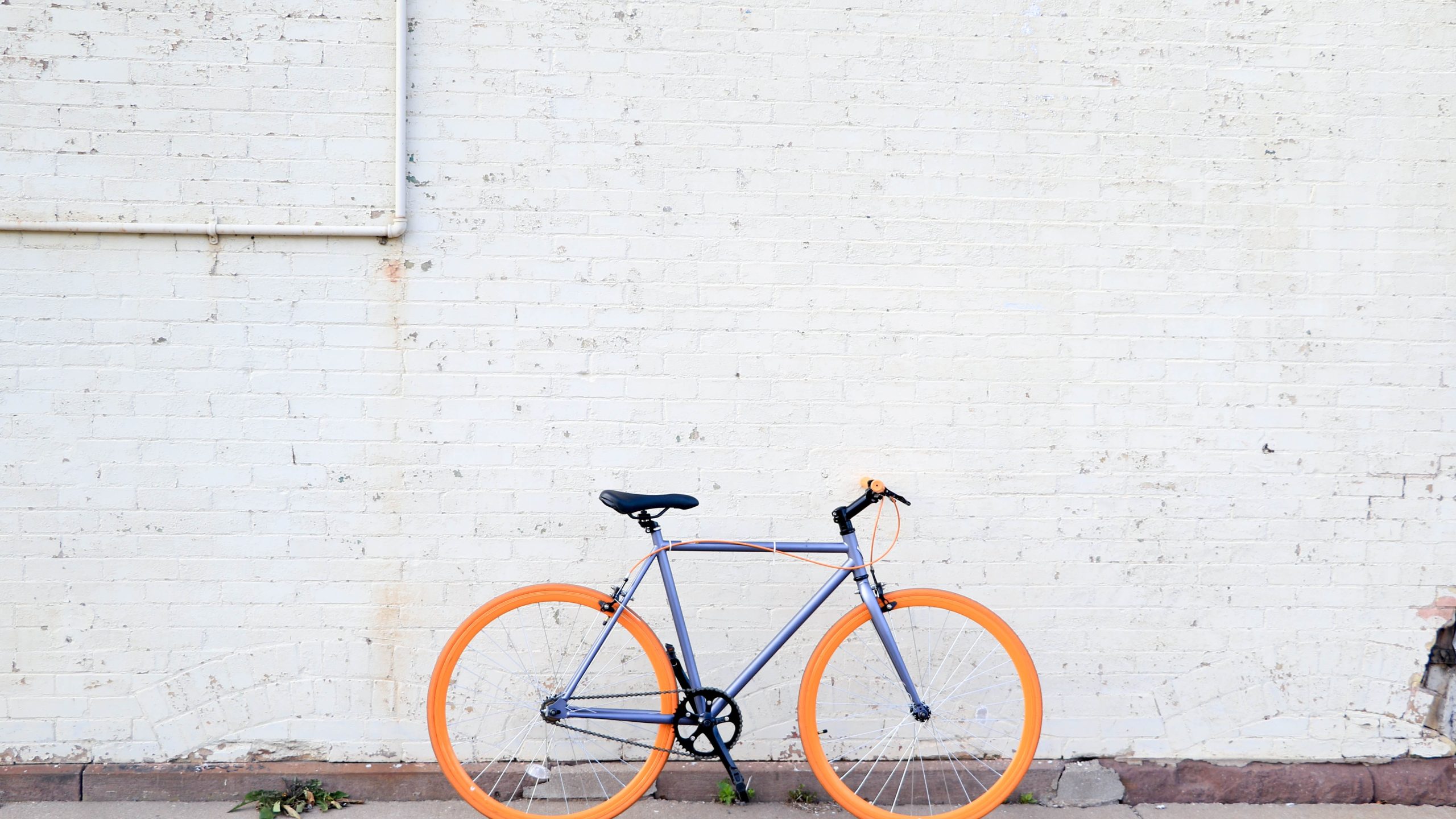 An image of a bicycle with a wall background