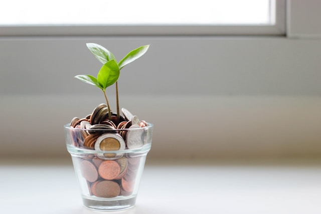 Photo of Money Plant with coins in a pot