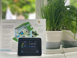 A smart meter on a windowsill with plants